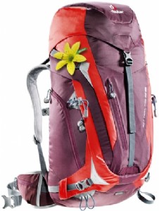 【大山野營】送贈品 新店桃園 德國 deuter 344